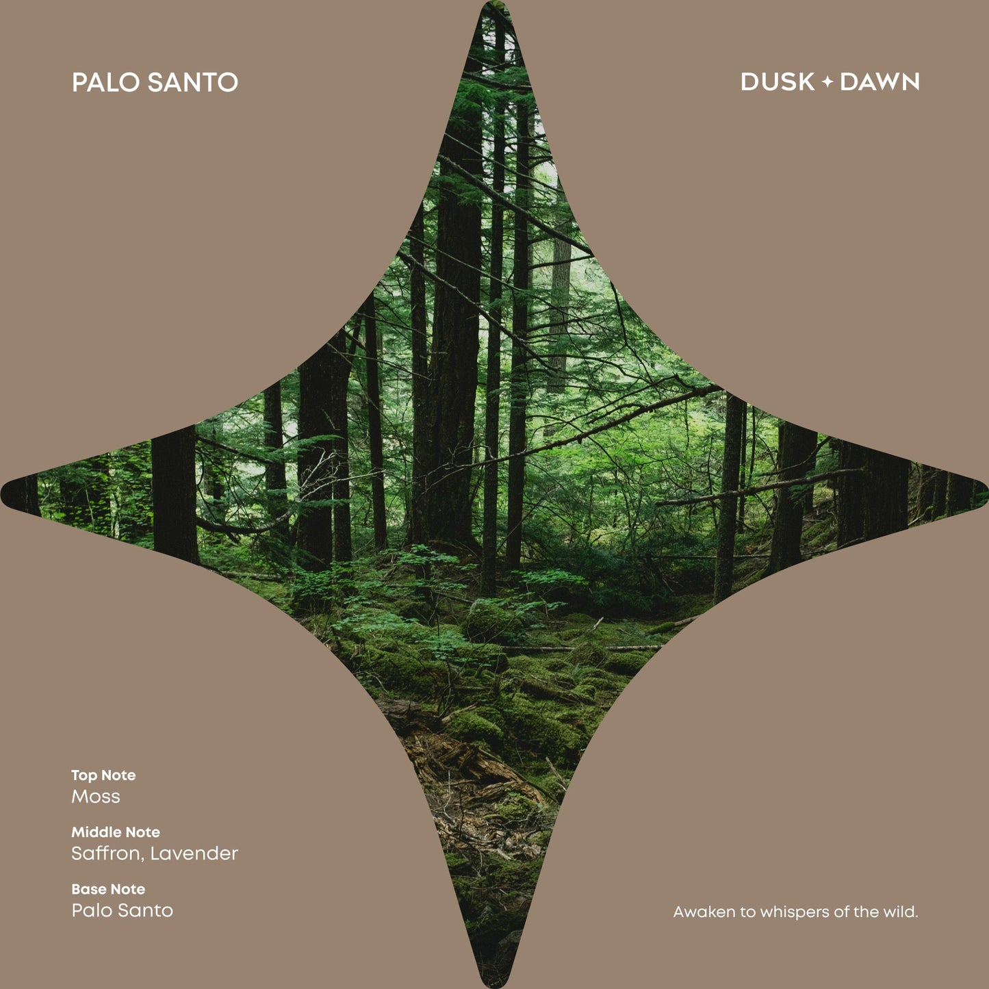 Halo Palo Santo
