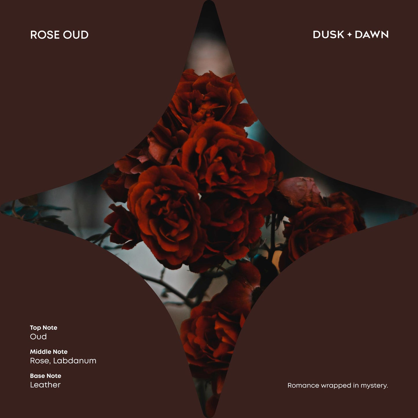 Halo Rose Oud