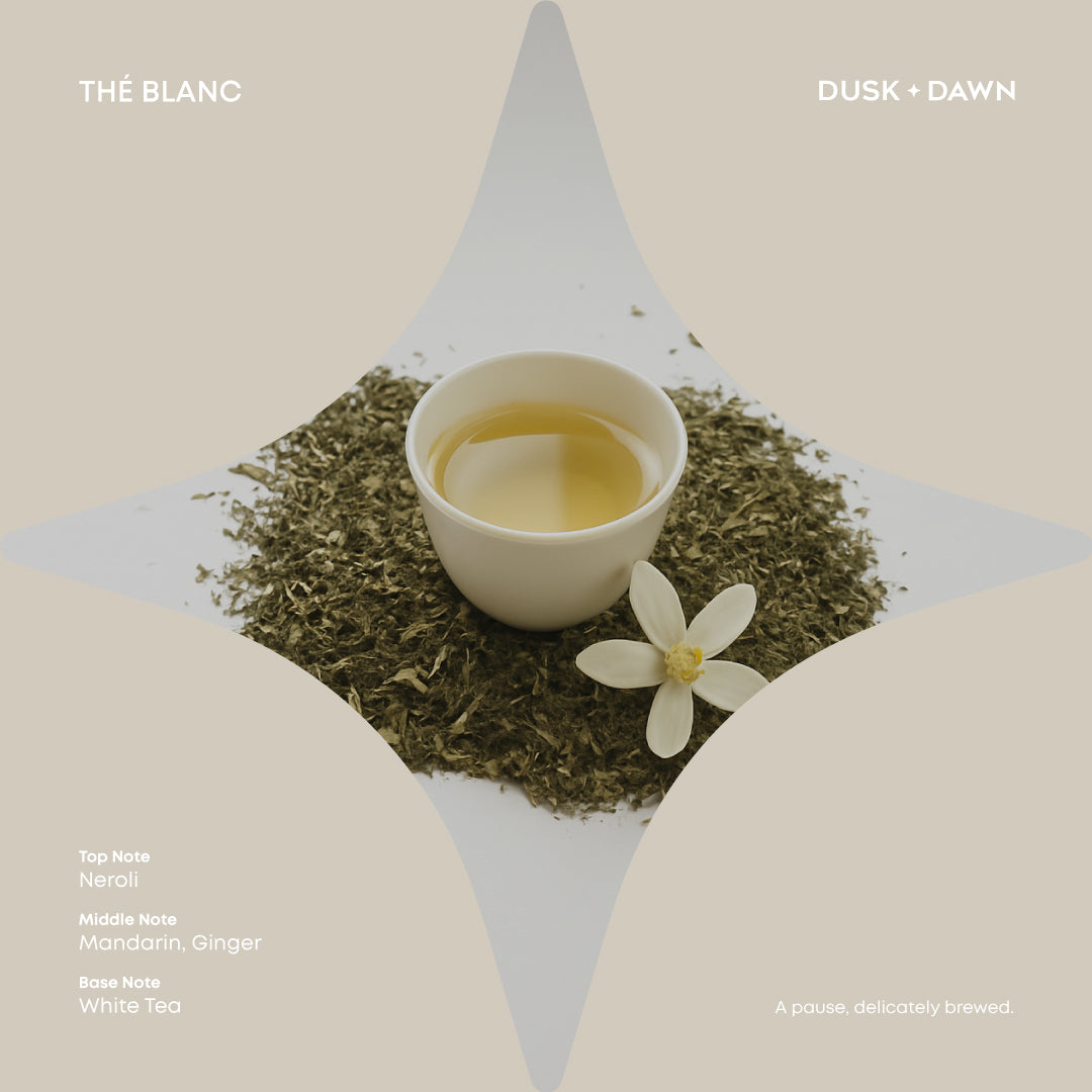Halo Thé Blanc
