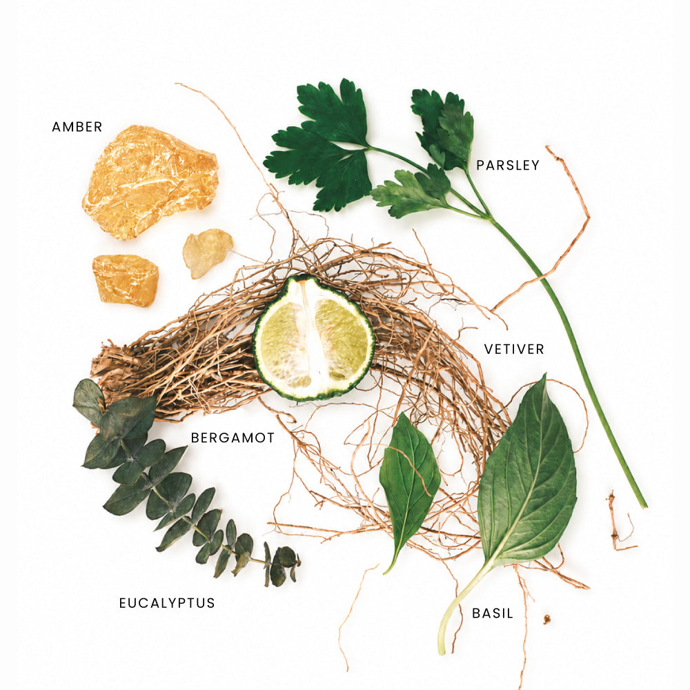 How Bergamote unfolds
