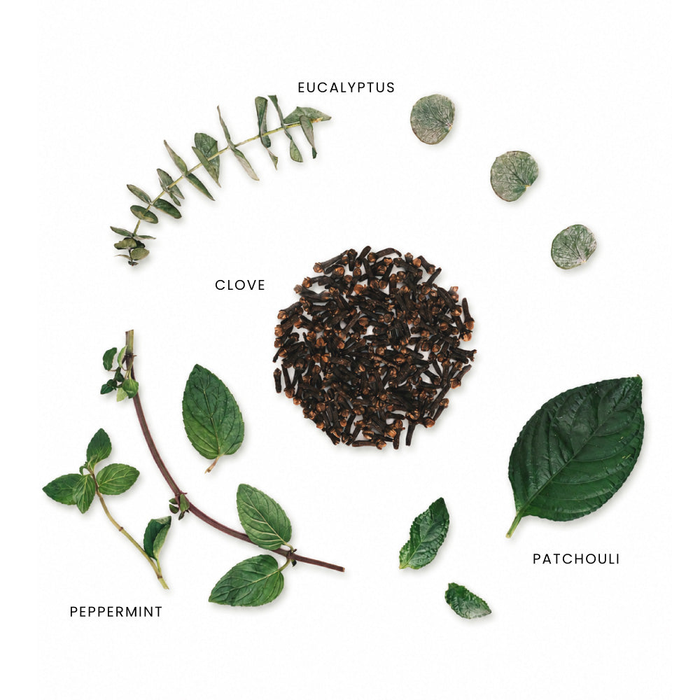 How Menthe unfolds