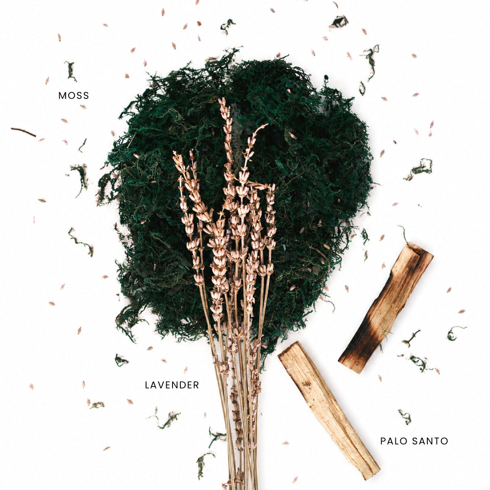 How Palo Santo unfolds