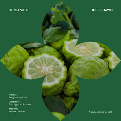 Eclipse Bergamote