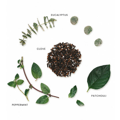 Flat lay of whole spices and herbs on a white background, labeled EUCalyptus, CLOVE, PATCHOUI, and PEPPERMINT, arranged around a central pile of dark cloves.