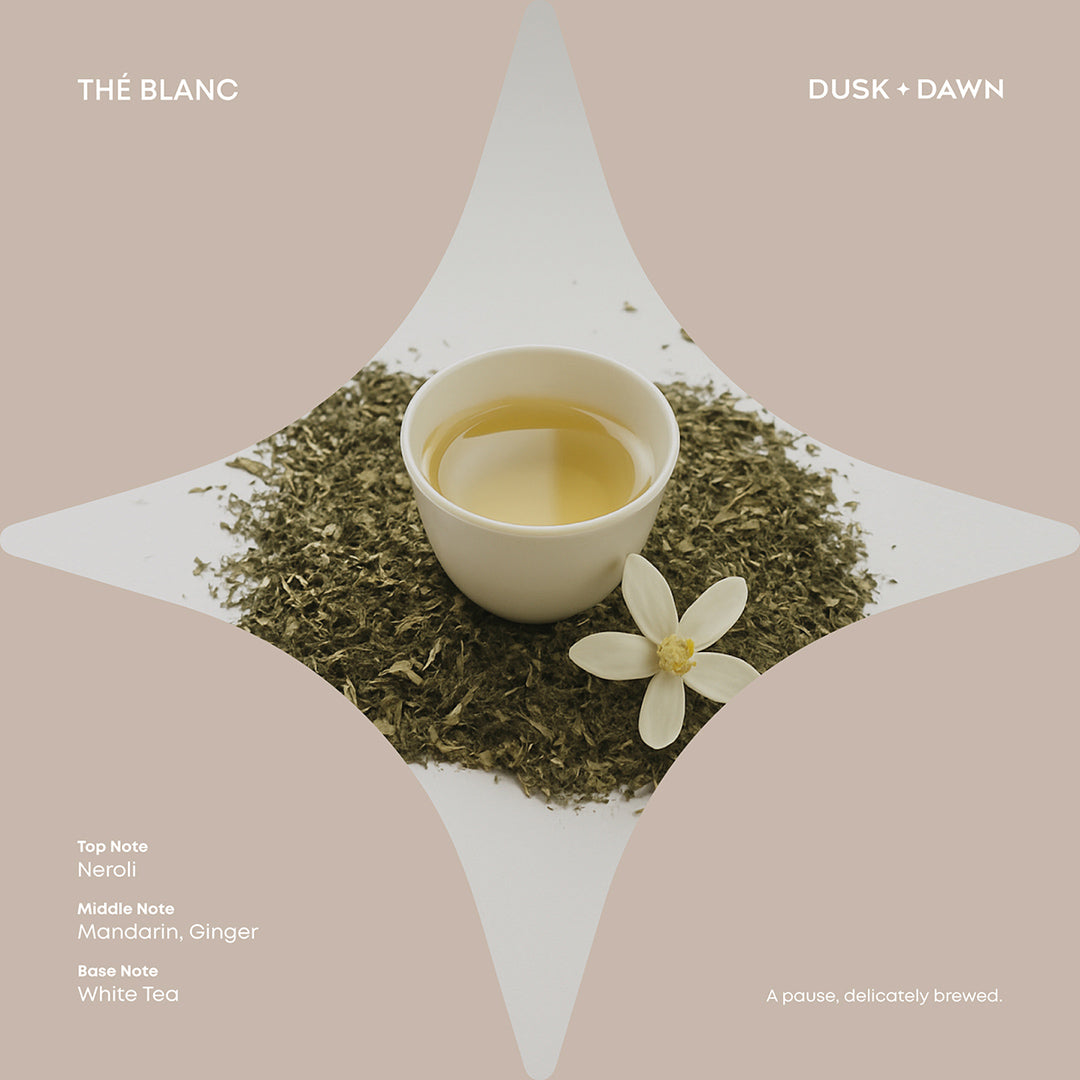 Halo Thé Blanc