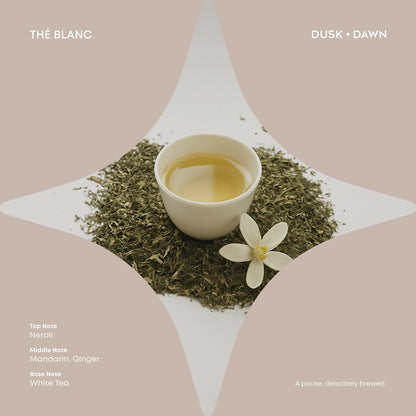 Halo Thé Blanc